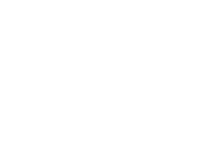 Player icon